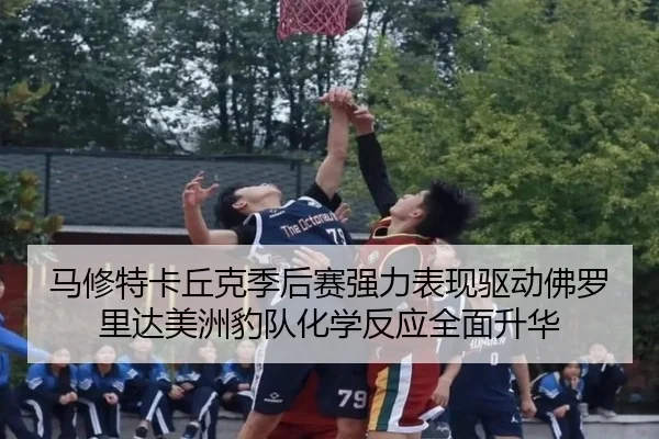 马修特卡丘克季后赛强力表现驱动佛罗里达美洲豹队化学反应全面升华