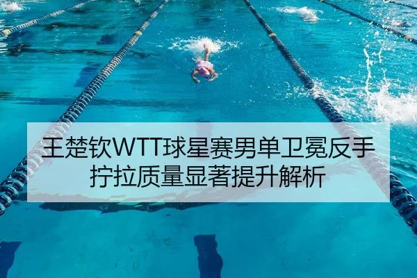 王楚钦WTT球星赛男单卫冕反手拧拉质量显著提升解析